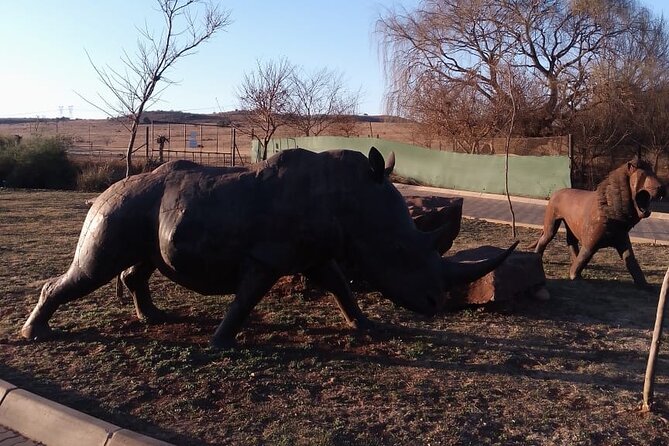 Half Day Rhino and Lion Park Closed Vehicle Game Drive - Transportation Details