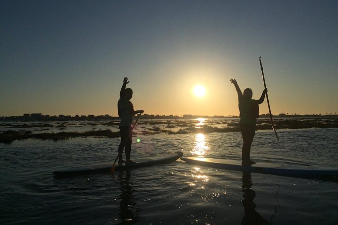 Half Day Ria Formosa Surfing and Paddleboarding  - Faro - Meeting and Pickup Details