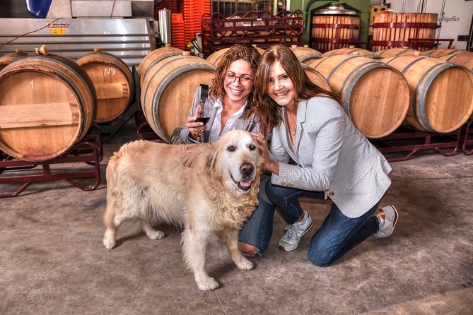 Half Day Rioja Wine Tour - Cancellation Policy