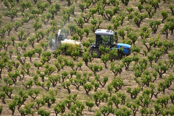 Half Day Rioja Wine Tour (from Rioja) - Tour Details