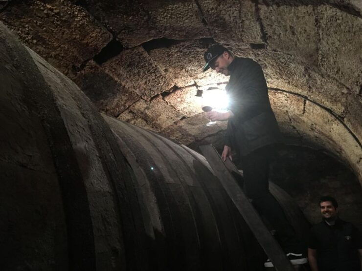 Half Day Rioja Wine Tour (from Rioja) - Highlights
