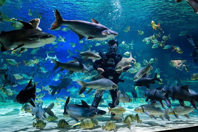 Half Day River Monster Tour with Private Guide in Siem Reap - Good To Know