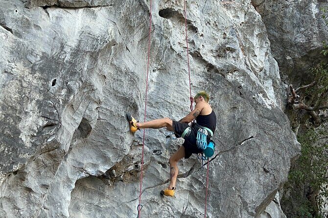 Half Day Rock Climbing in Cat Ba Island - An In-Depth Look at the Climbing Tour