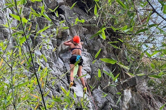 Half Day Rock Climbing in Cat Ba Island - An In-Depth Look at the Rock Climbing Tour