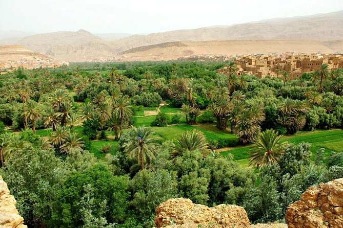 Half Day Rock Climbing Todra Gorges - Location Details