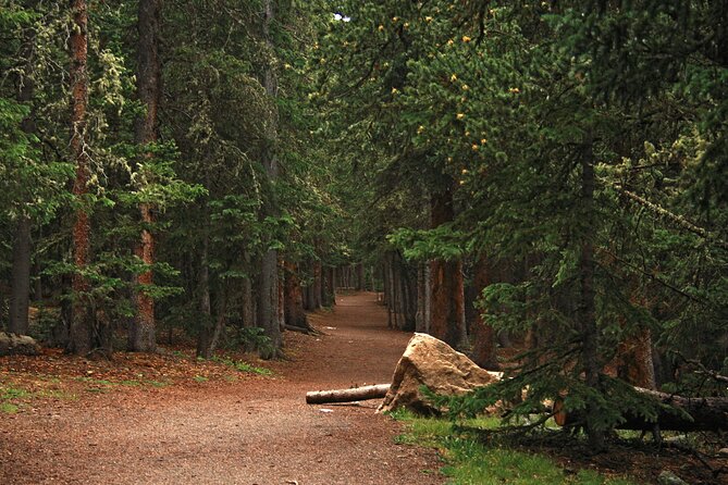 Half Day Rocky Mountain Escape - Cancellation Policy