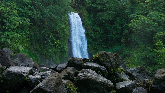 Half Day Roseau Waterfall and Reef Outing  - Dominica - Suitable for Active Travelers