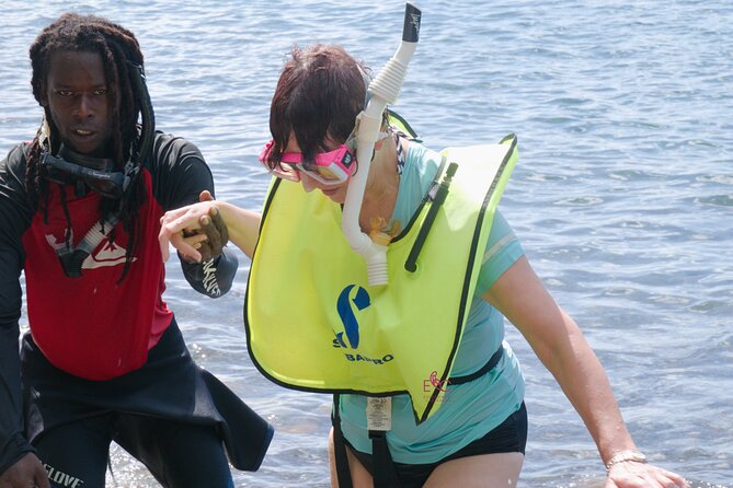Half Day Roseau Waterfall and Reef Outing  - Dominica - Pricing and Additional Information