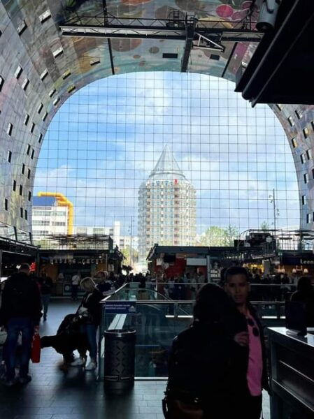 Half-Day Rotterdam and The Hague Private Tour - Meeting Point