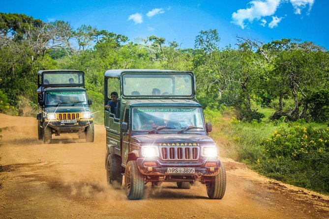 Half Day Safari at Yala National Park From Yala / Tissamaharama - Meeting Point and Pickup Details
