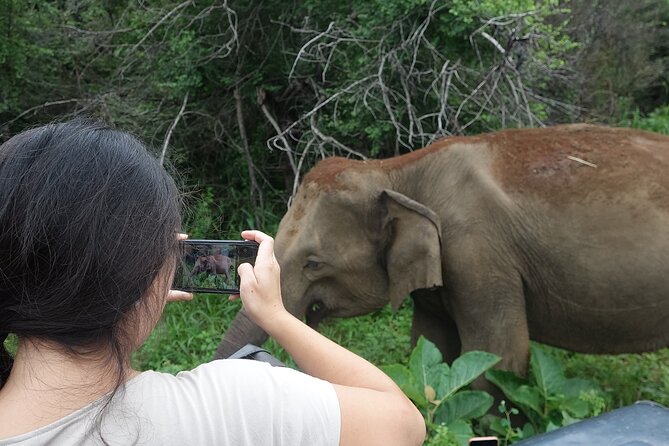 Half Day Safari Guided Tour - Inclusions and Exclusions