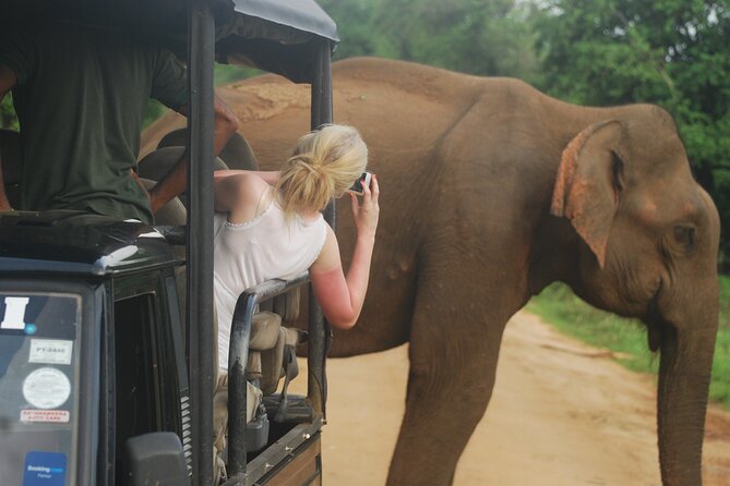 Half Day Safari Guided Tour - Pickup and Meeting Details