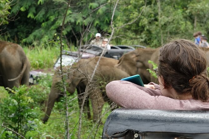 Half Day Safari Guided Tour - Price and Booking Information