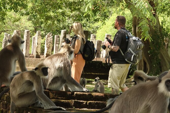 Half Day Safari Guided Tour - Frequently Asked Questions