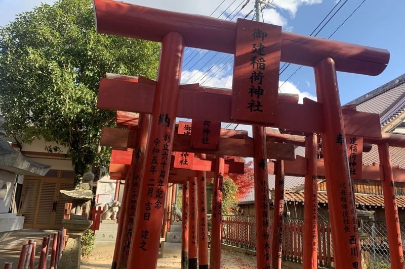 Half-Day Saijo Sake Tasting & Inside Brewery Tour in Hiroshima - What the tastings can teach you