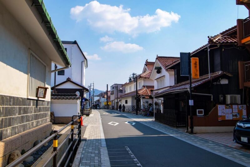 Half-Day Saijo Tour: Sake Tasting & Brewery Tour - Who Should Consider This Tour?