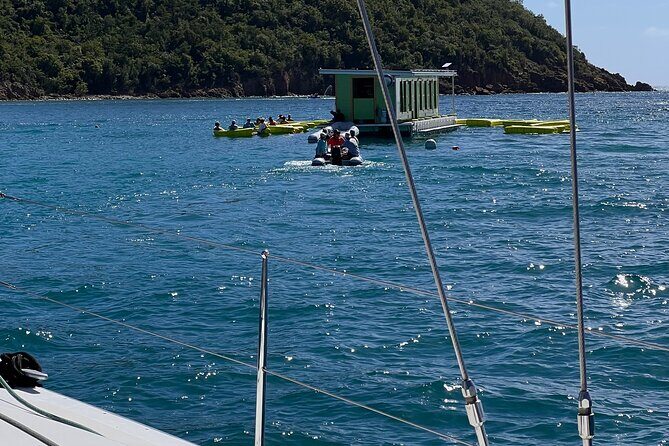 Half Day Sail to Lime Out St. Thomas with Gourmet Tacos - Practical Details and Considerations