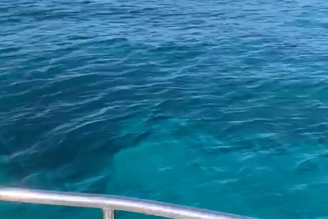 Half-Day Sailboat Trip in the Bay of Cannes - Common Questions
