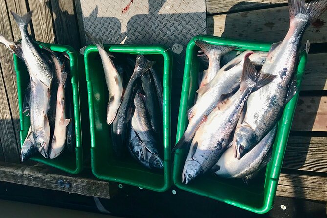 Half Day Salmon Fishing in Ketchikan - Inclusions