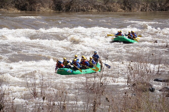 Half-Day Salt River Whitewater Rafting - Reviews and Price