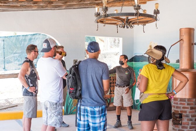 Half-Day San José Del Cabo Zip Line and Rappel Adventure - Pricing and Booking Details