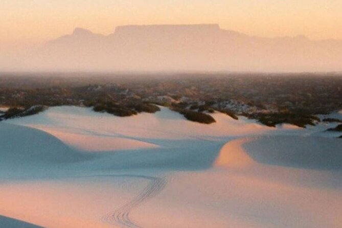 Half-Day Sand Dune Safaris in Cape Town - Location Details