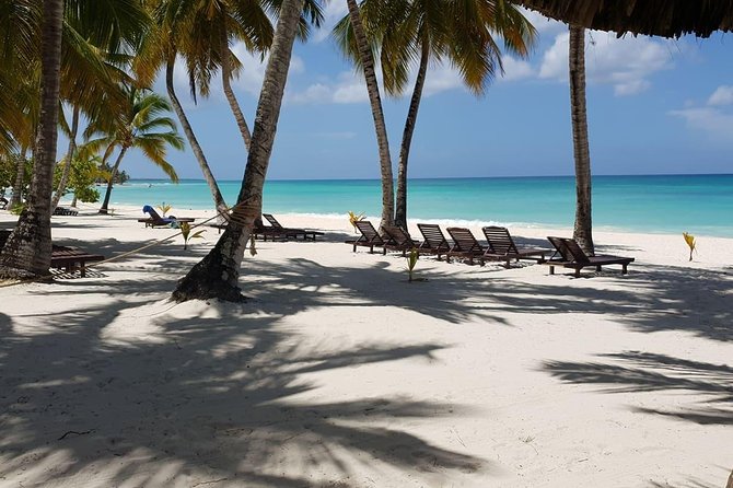 Half-Day Saona Experience - Dominican Republic - Speedboat Transportation