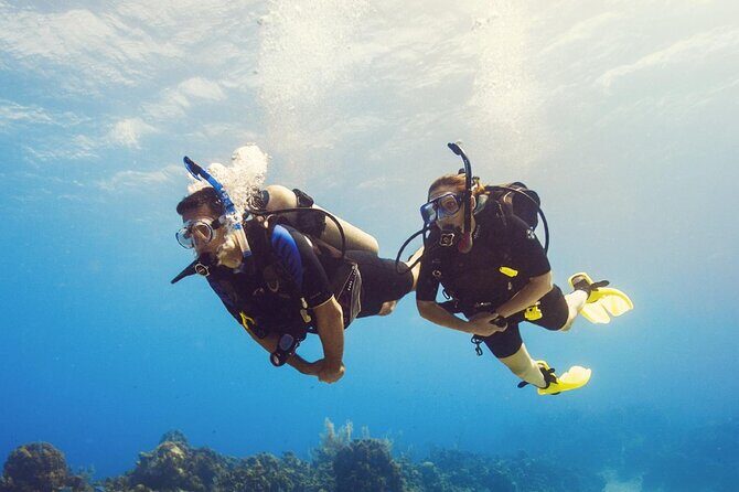 Half Day Scuba Diving Course enjoy Pool and Beach Dive Adventure - Good To Know