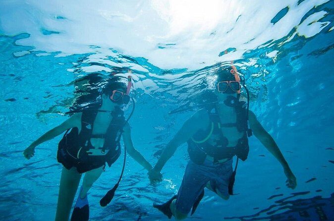 Half Day Scuba Diving Course enjoy Pool and Beach Dive Adventure - The Sum Up