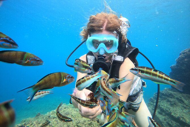 Half Day Scuba Diving @ Duden Waterfalls - Directions to Duden Waterfalls for Half Day Scuba Diving