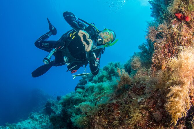 Half Day Scuba Diving Experience in Plakias Greece - Requirements and Restrictions