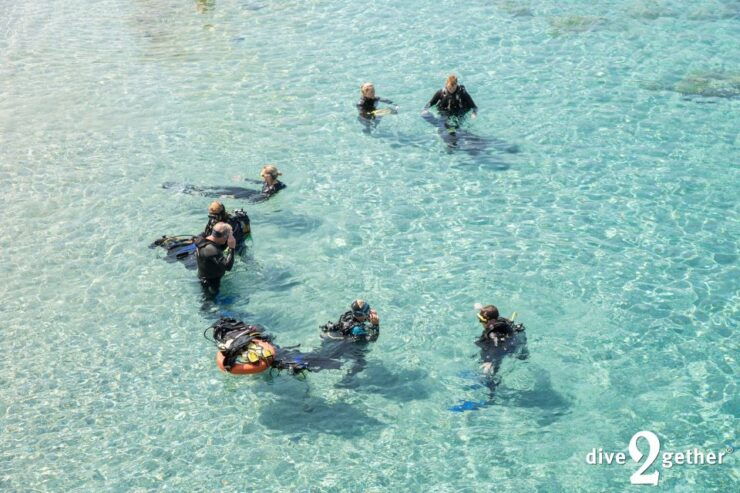 Half Day Scuba Diving Experience - No Experience Needed - Activity Duration and Availability