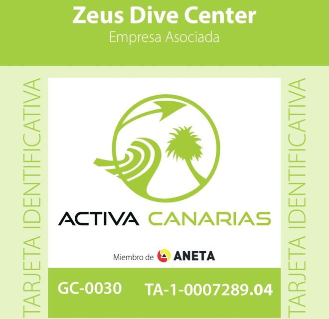 Half-Day Scuba Diving in Tenerife From Abades Beach - Activity Details