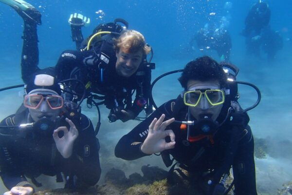 Half-Day Scuba Diving in Tenerife From Abades Beach - Common Questions