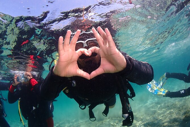 Half-Day Scuba Diving Tour - Discover Scuba Diving! - Tour Overview
