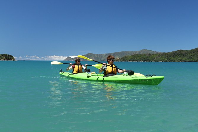 Half Day Sea Kayak Guided Tour From Picton - Traveler Photos and Reviews