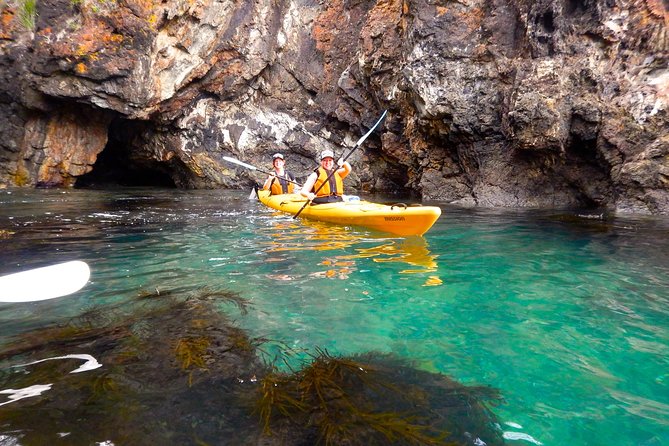 Half Day Sea Kayak Tour From Batemans Bay With Morning Tea and Snorkeling - Price and Copyright Information