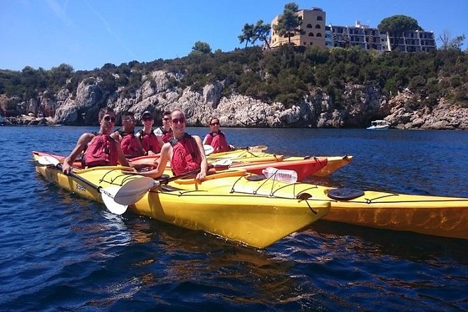 Half Day Sea Kayak Trip - What to Expect