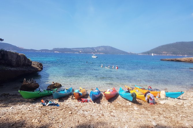 Half Day Sea Kayak Trip - Common Questions
