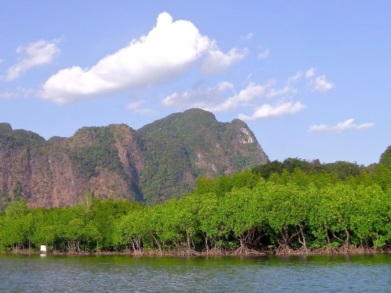 Half Day Sea Kayaking Adventure in Ao Thalane Bay from Krabi - Crocodile Cave, cliffs, and the lagoon