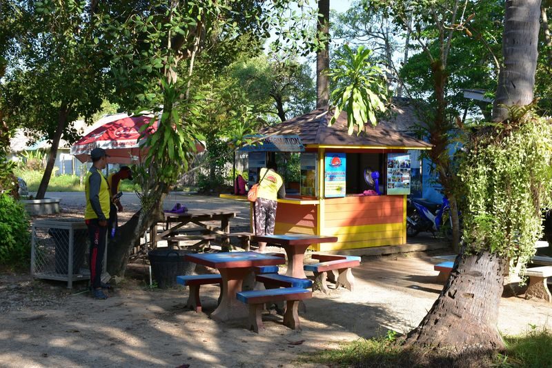 Half Day Sea Kayaking Adventure in Ao Thalane Bay from Krabi - Tide, effort, and the wildlife you might see