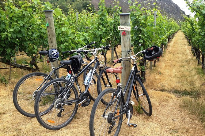 Half-Day Self-Guided Ride and Wine Bike Tour From Arrowtown - Tour Details