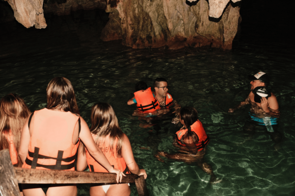 Half Day Semiprivate Snorkeling Tour With Turtles & Cenote - Pickup and Drop-off Locations