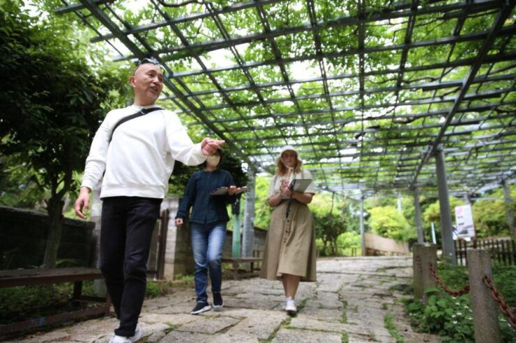 Half-Day Shared Tour at Kurashiki With Local Guide - Highlights and Experience