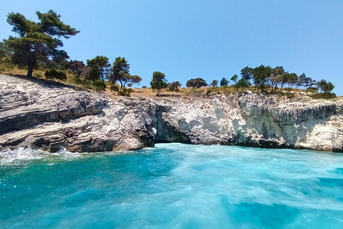Half Day Shipwreck Bay Guided Tour by Fast Boat - Pricing Information