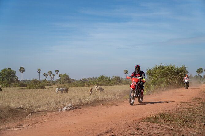 Half Day Siem Reap Off-Road Ride Tour - Final Thoughts
