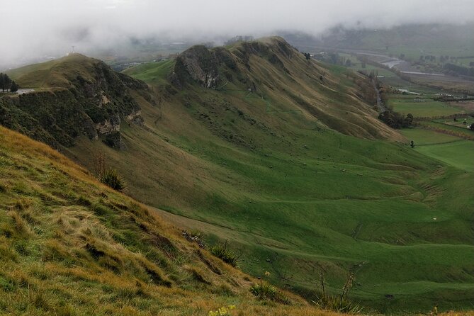 Half Day Sights and Tastes Tour in Napier - Tour Overview and Duration