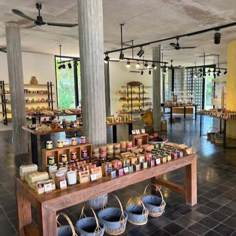 Half-day: Silk Farm, Senteurs Angkor & Satcha Craftsmanships - Who Is This Tour For?