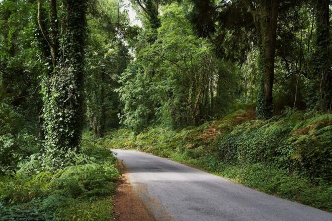 Half-Day Sintra Private Tour by TUK TUK - Itinerary Highlights