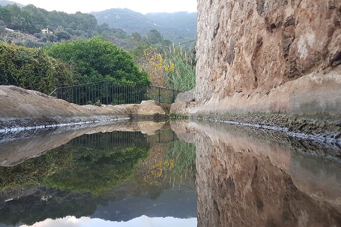 Half Day Slingshot Tour From Paguera - Tour Duration and Itinerary